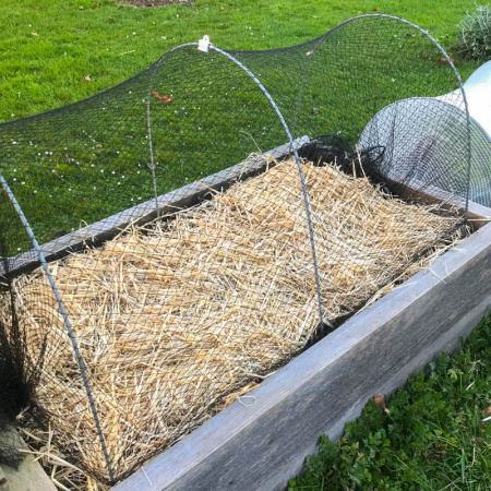 -midi_hoop_in_garden