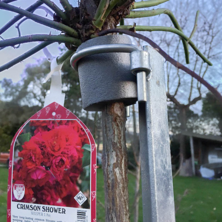 -rose_stake_silver_close