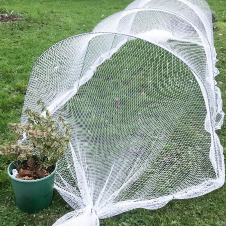 classic_cloche_kit_bird2021