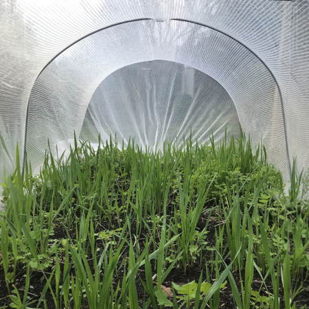 cloche_hoop_classic2021_1559514141