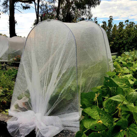 jumbo_hoops_in_vege_garden