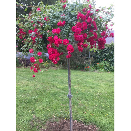 rose_stake_2_4_silver_with_flower_1495344139